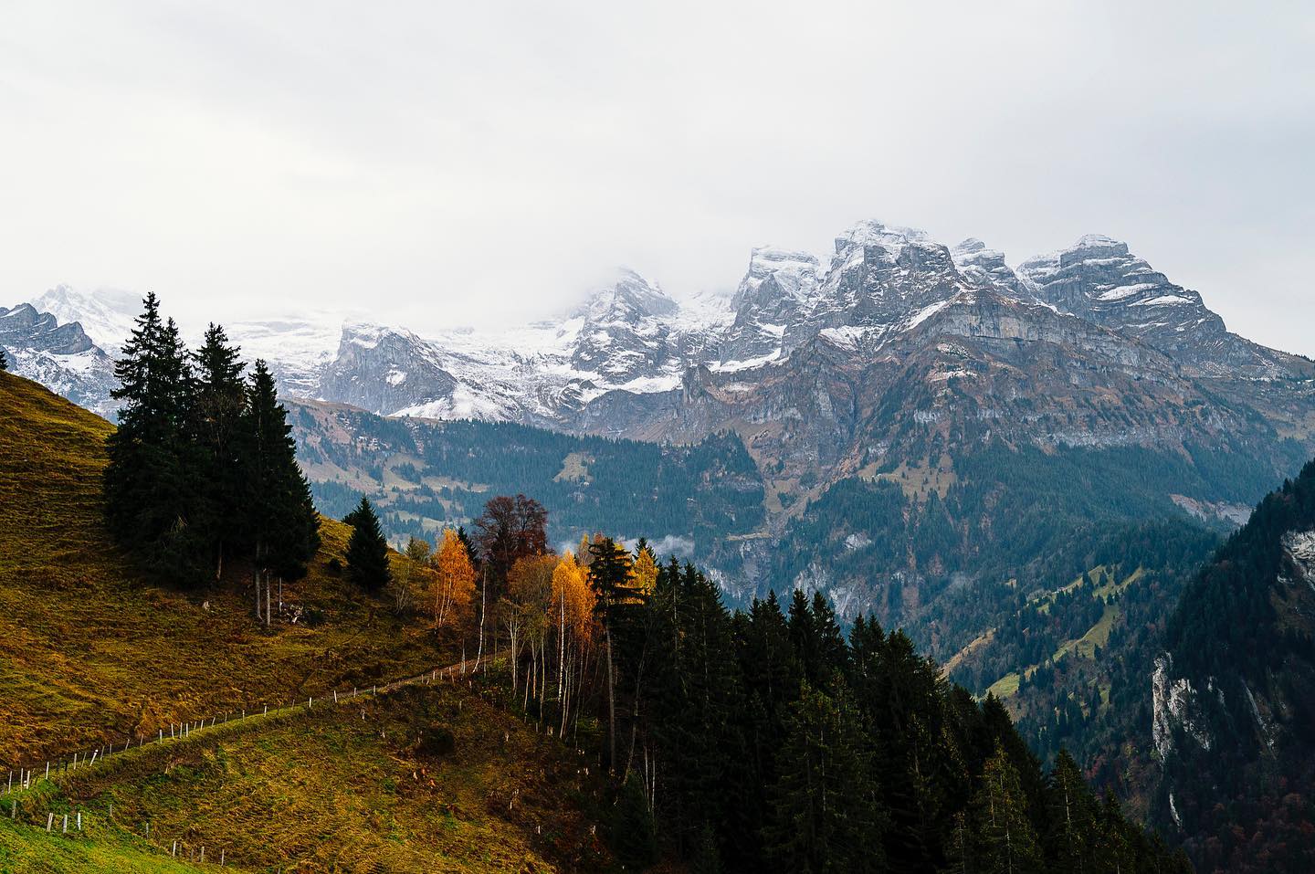 Archives. Suisse 2021.

#Switzerland #switzerlandwonderland #hike #outdoors #travel #cold #mountains #autumn #nikonz6